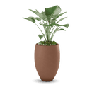Brandy Planter