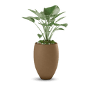 Brandy Planter