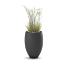Brandy Planter
