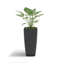 Quartet Planter
