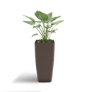 Quartet Planter