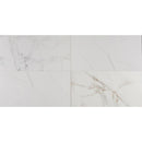 pietra carrara 12x24 glazed polished porcelain floor and wall tile msi collection NPIECAR1224P product shot multiple tiles top view