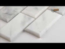 Arabescato Carrara 12" x 12" Honed Marble Mesh-Mounted Mosaic Tile 2"x4"- MSI Collection