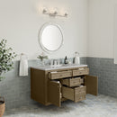 James Martin Chicago 48" Single Bathroom Vanity, Walnut Whisper