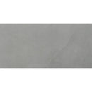 sande grey polished porcelain floor and wall tile msi collection NSANGRE1224P product shot one tile top view
