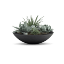 Oceanside Outdoor Shallow Planter