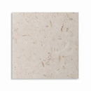 Shell Reef Tumbled Limestone Pavers 8x8