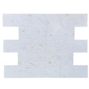 Shell Stone White Limestone Tiles Floor and Wall Tile