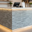 Sterlina Gloss/matte Interlocking Slides Glass Mosaics 12x12