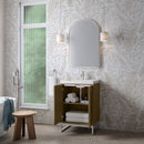 James Martin Chianti 24" Single Bathroom Vanity, Walnut Whisper