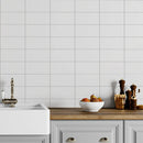 Blanc Matte Ceramic Tiles 4x8